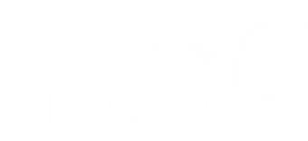 itindro